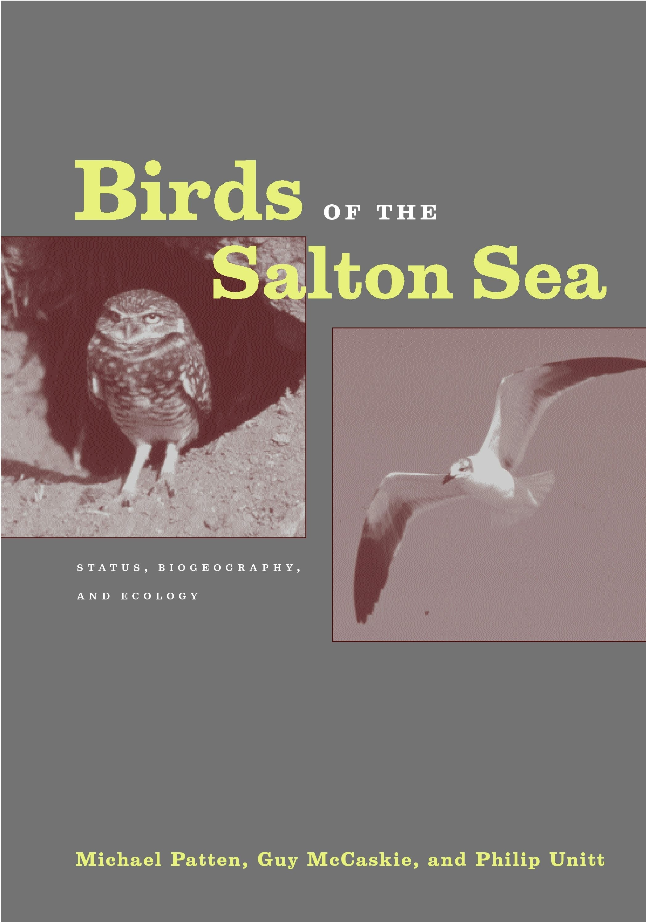 Book cover image for Birds of the Salton Sea ISBN: 9780520929449